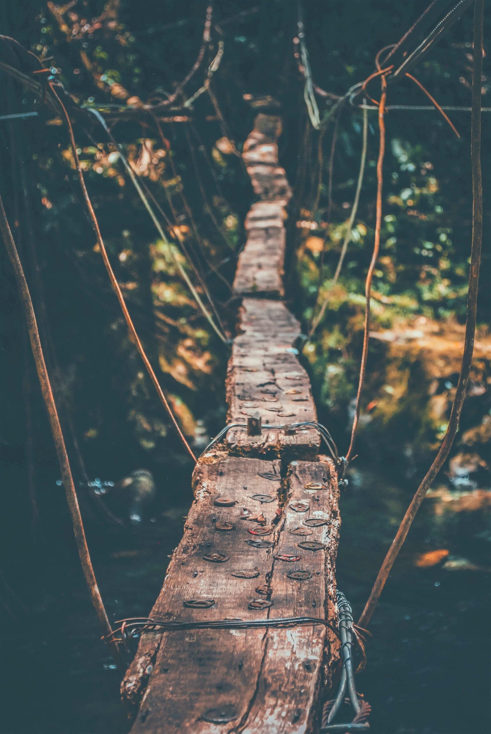 pont suspendu en bois