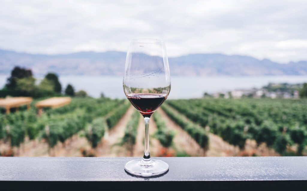 Un verre de vin rouge presque vide avec un fond ou l'on peu voir des vignes et une grande étendue d'eau